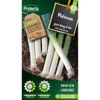 Poireau gros long d'été Protecta