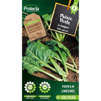 Poirée verte à couper Protecta