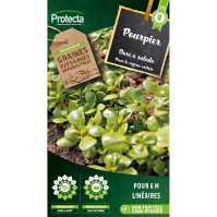 Pourpier doré à salade Protecta