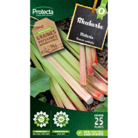 Rhubarbe Victoria Protecta