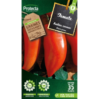 Tomate Andine Cornue Protecta