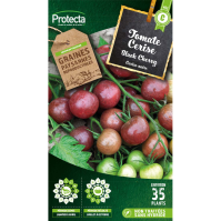 Tomate Cerise Black Cherry Protecta