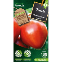 Tomate Coeur de Boeuf Protecta