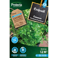 Cerfeuil Commun Protecta