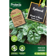 Epinard Géant d'Hiver Protecta