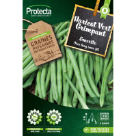 Haricot vert grimpant Protecta