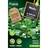Mache de hollande Protecta
