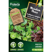 Mesclun Doux Laitues à couper Protecta