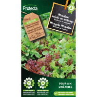 Mesclun salade en mélange