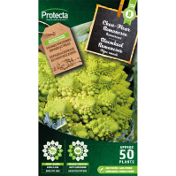 Bloemkool Romanesco