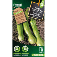 Courgette Lange van Nice