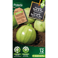 Courgette Ronde van Nice