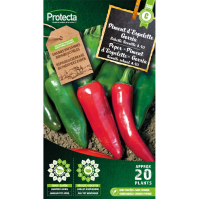 Peper "Piment d'Espelette" Gorria
