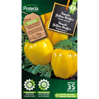 Tomate Yellow Stuffer