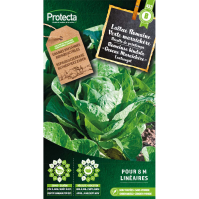 Romeinse bindsla "Groene Maraichère"