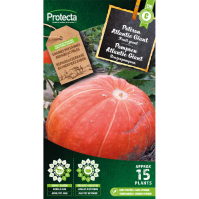 Pompoen Atlantic Giant