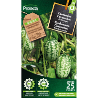 Komkommer Cucamelon