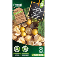 Physalis Ananaskers