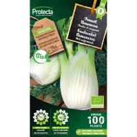 Knolvenkel Romanesco BIO
