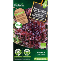 Eikenbladsla Red Salad Bowl BIO