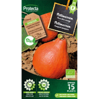 Potimarron BIO