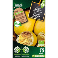 Pompoen Spaghetti BIO