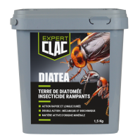 Terre de diatomée insectes rampants Clac expert