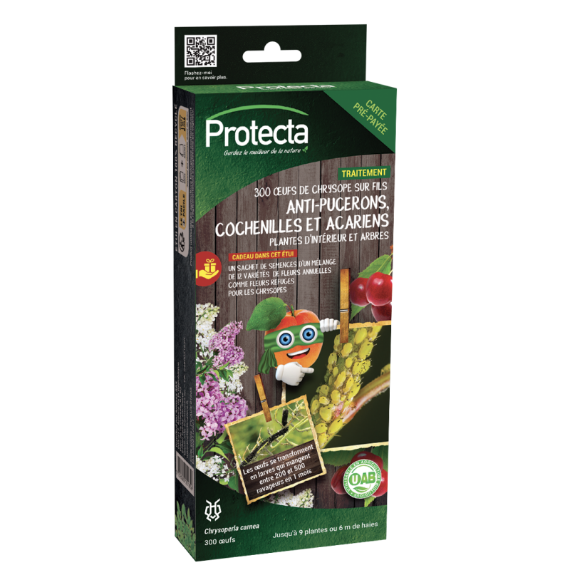 Larves De Chrysopes Contre Les Pucerons Et Les Cochenilles