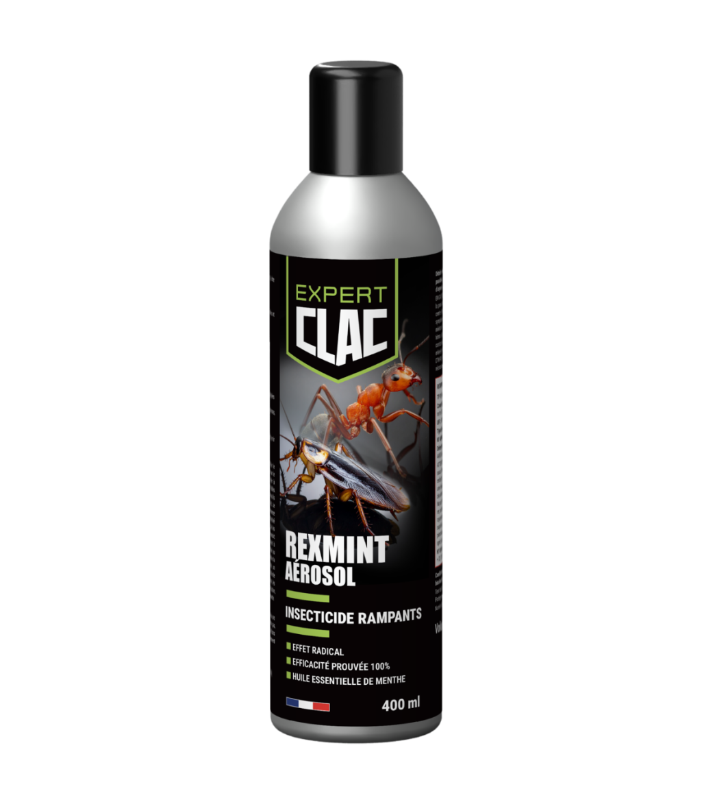 Aérosol Insecticide Anti Insectes Rampants – Cafards, Fourmis, Araignées – REXMINT 400 ml main product photo