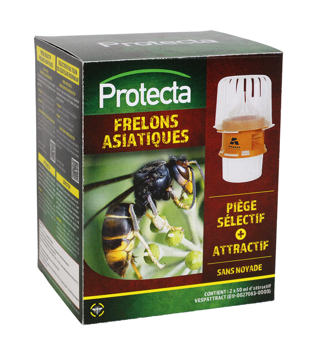 Piège sélectif frelons asiatiques main product photo