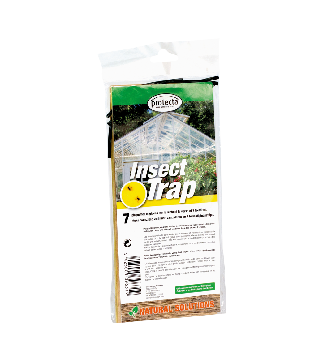 Insect trap geel main product photo