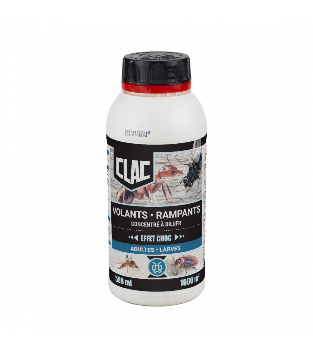 Insecticide concentré à diluer volants rampants 500 ml main product photo