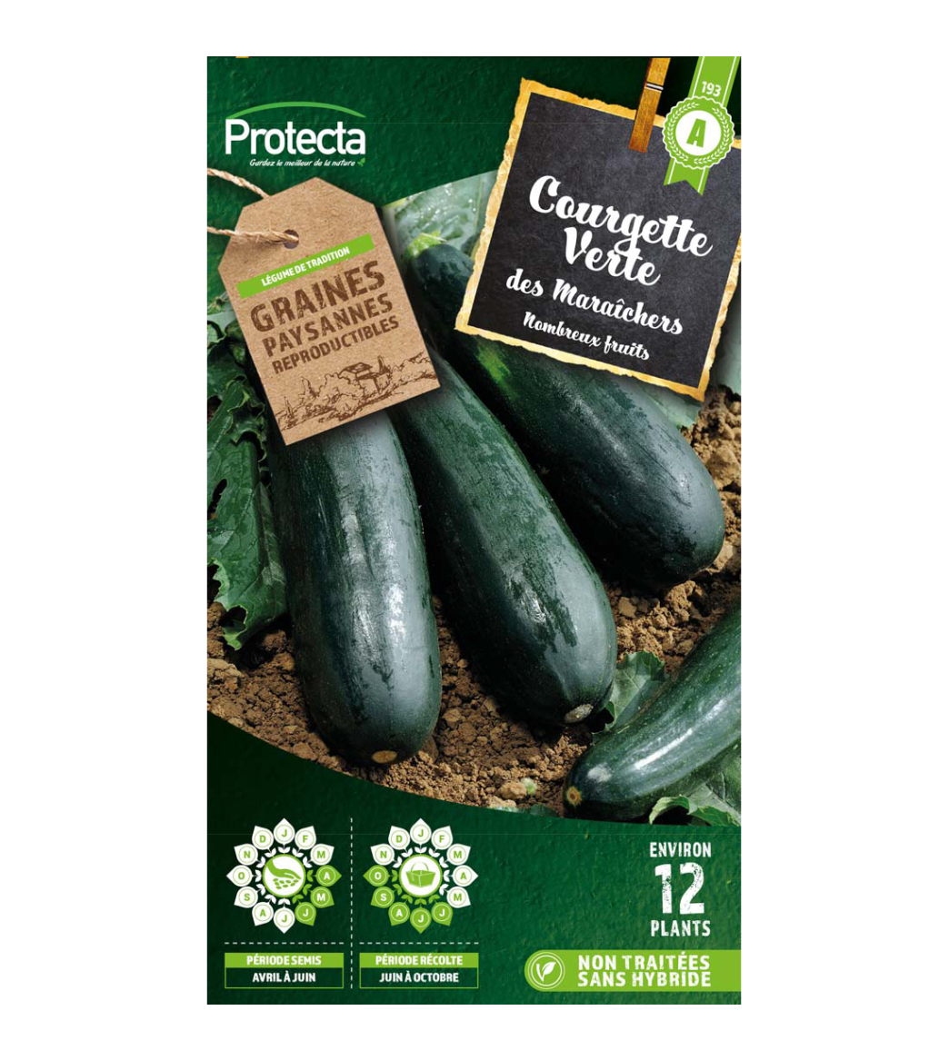 Courgette Verte des Maraîchers main product photo