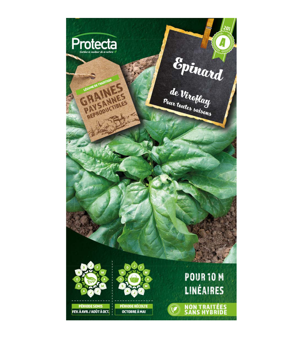 Epinard Monstrueux de Viroflay main product photo