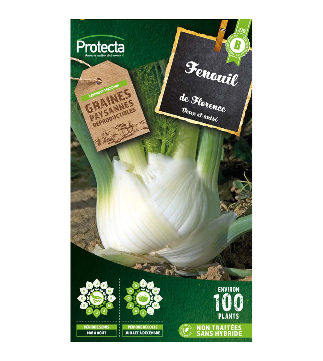 Fenouil doux de Florence main product photo