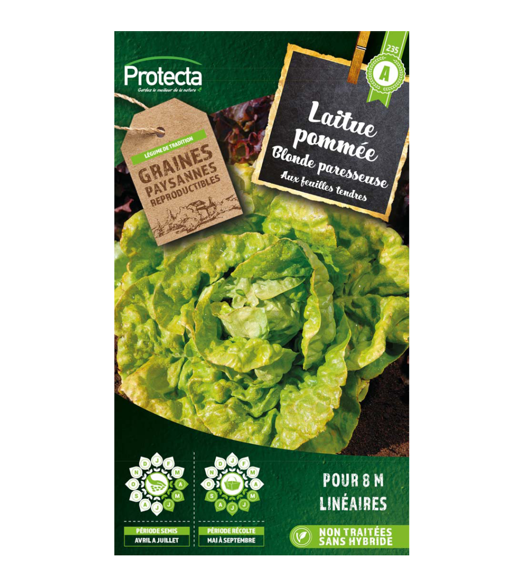 Laitue Grosse Blonde Paresseuse   main product photo