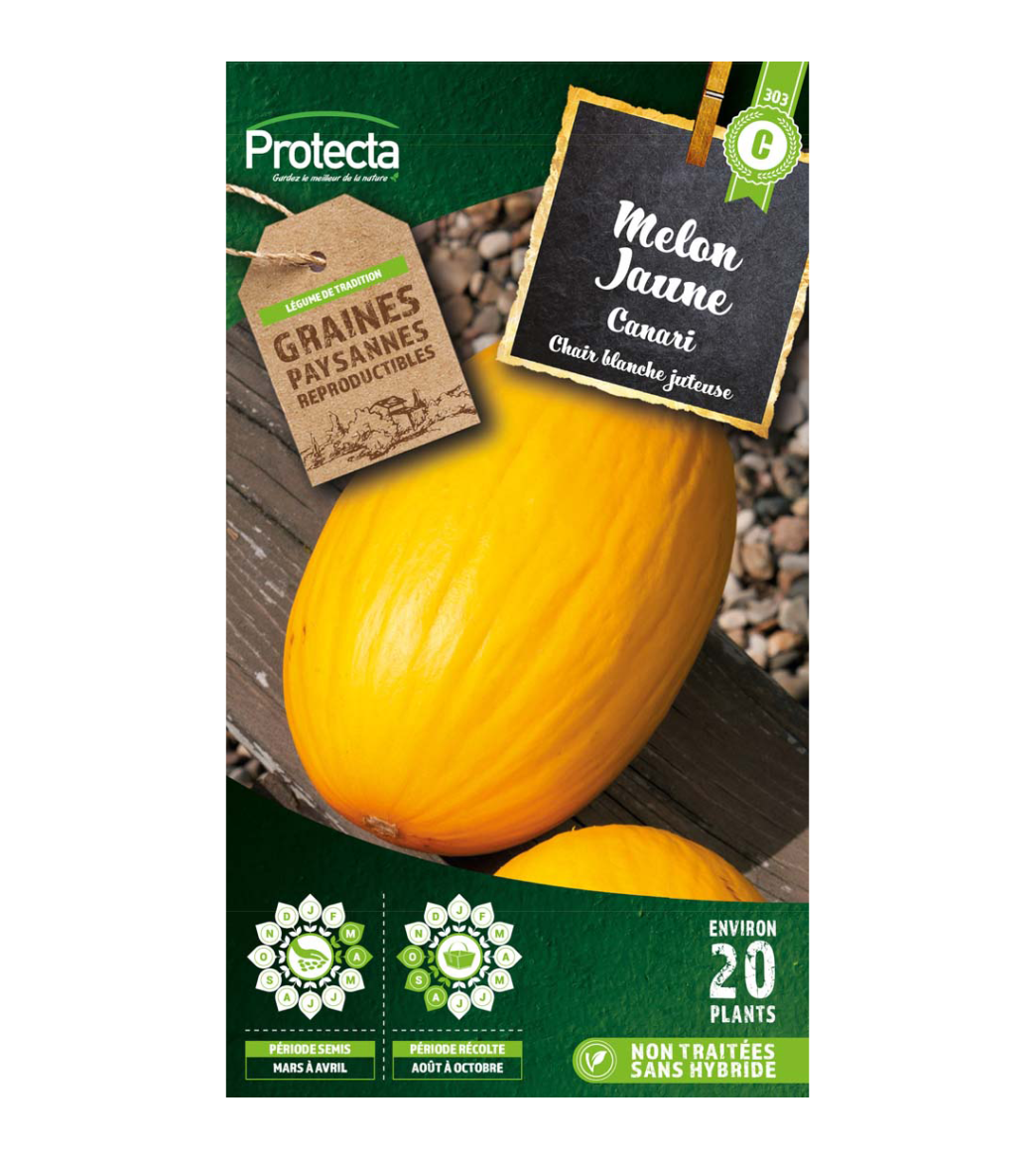 Melon jaune Canari main product photo