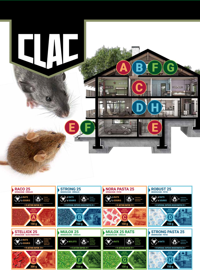 choisir sa solution rongeurs